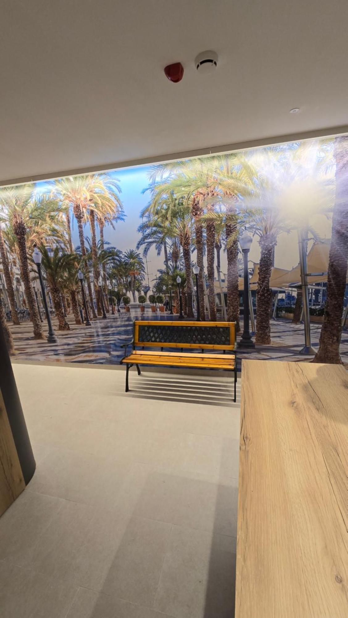 Hostal Rambla 24 By Holihome Alicante Eksteriør billede